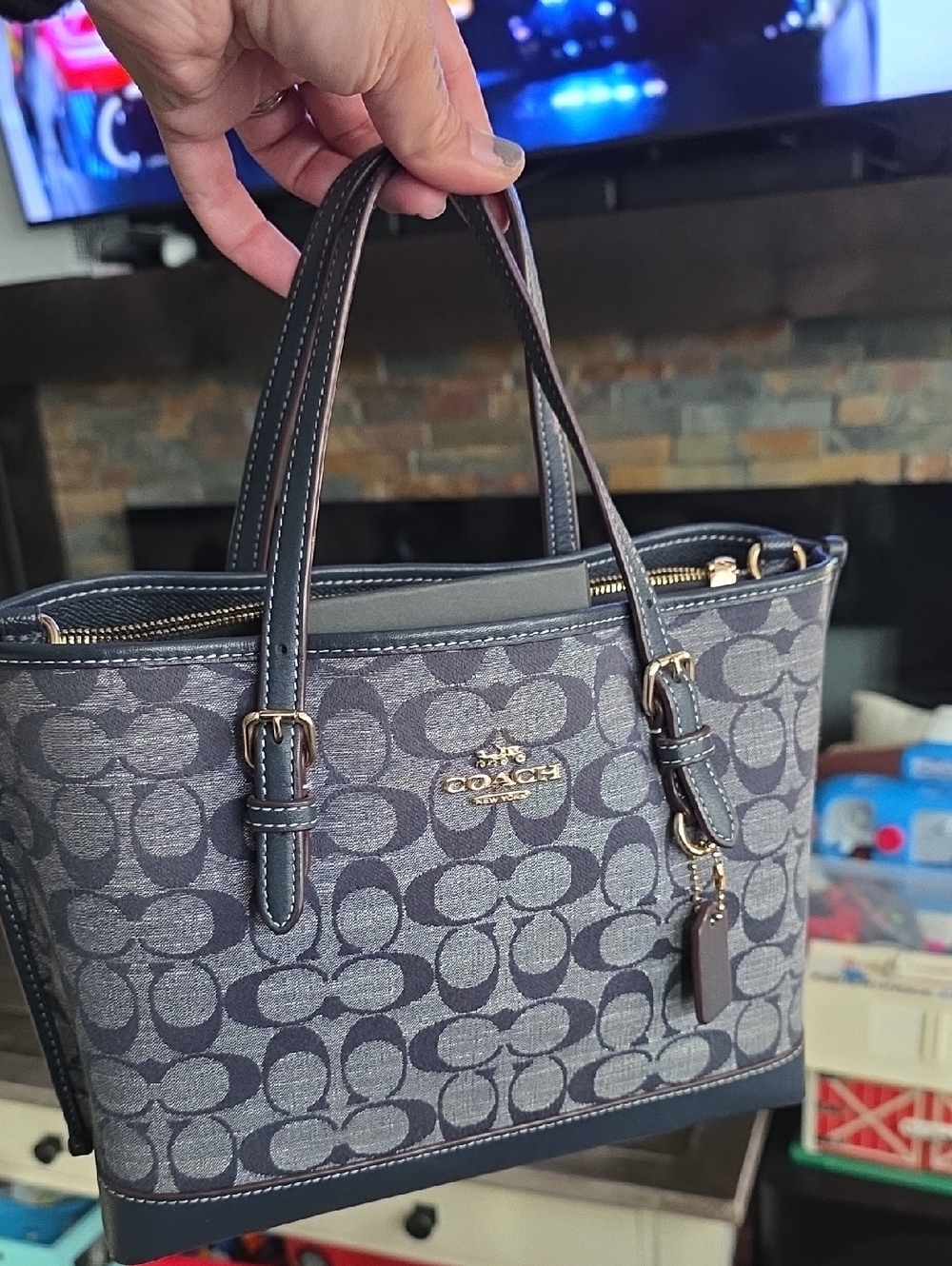 Coach Mollie Tote 25